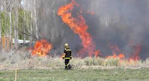 Bomberos apagaron pastizales en Ruta 5