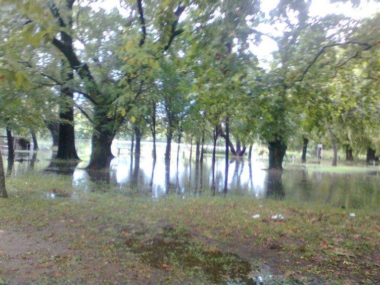 La intensa lluvia de ayer desbordó la laguna del Parque San Martín