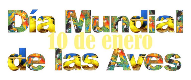 Día Mundial de las Aves