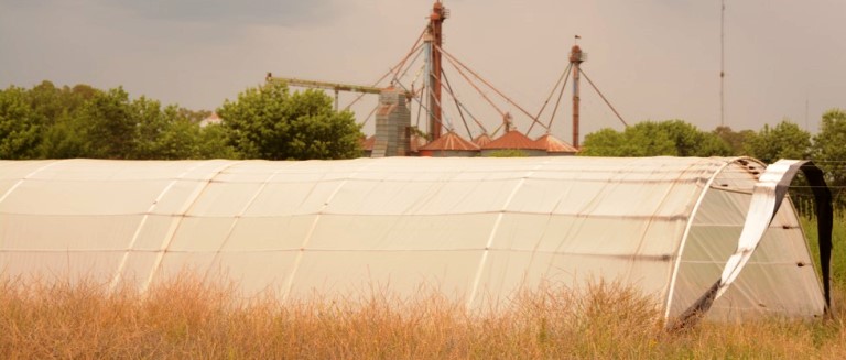 Se trabaja para el Proyecto Hortícola de 12 de Octubre