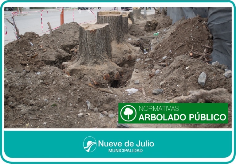 Se recuerda que está prohibida la extracción de árboles