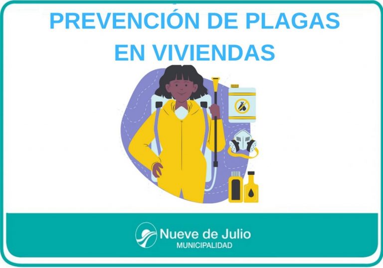 Bromatología hace recomendaciones para evitar insectos y roedores en las viviendas