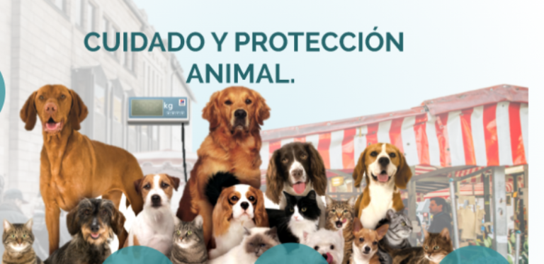 Una Brigada atenderá el maltrato animal e incluye operativos de rescates