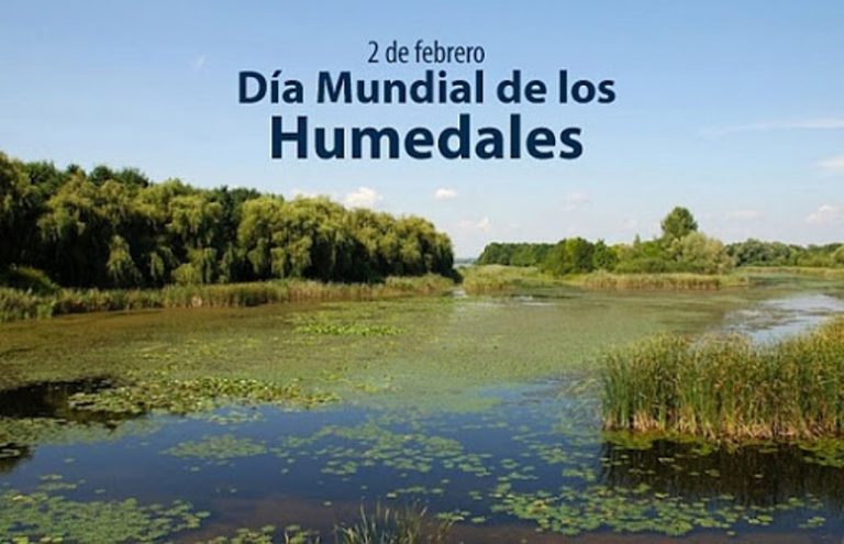 Día Mundial de los Humedales