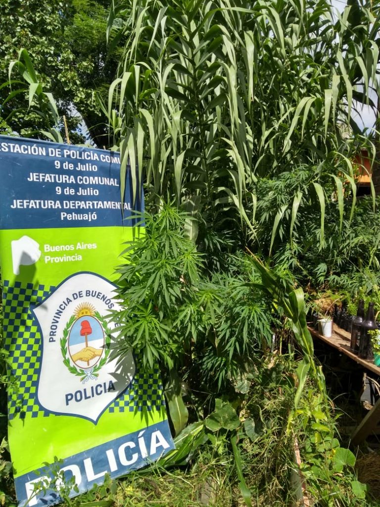 Un detenido en un allanamiento en Juan XXIII al 700