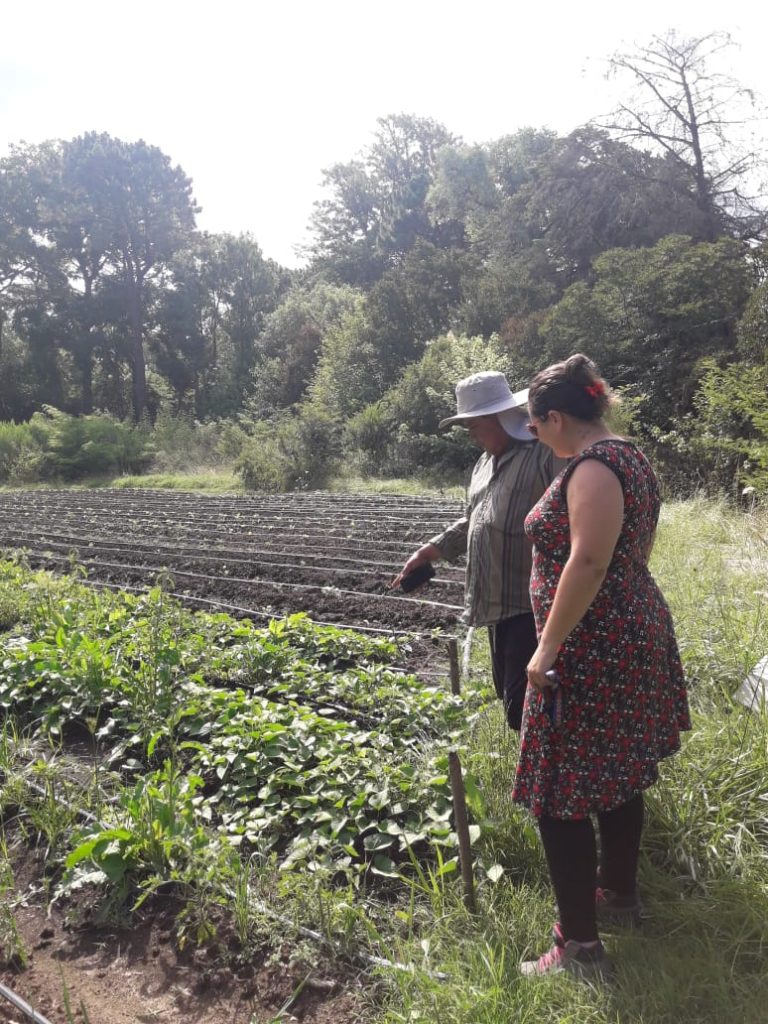 Eximición de aranceles del Senasa para productores de la Agricultura Familiar