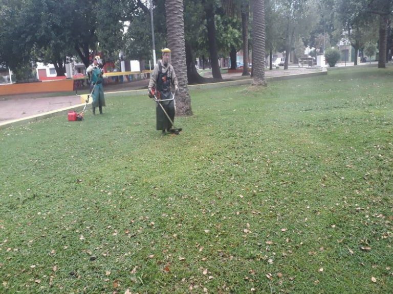 Se fumigarán espacios verdes y el pasto será cortado