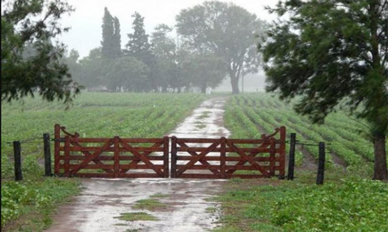 La lluvia llega a los 20.9mm