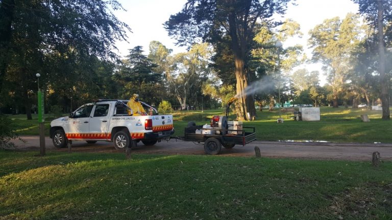 No al Dengue: Lincoln fumigó distintos espacios verdes y las periferias de la ciudad