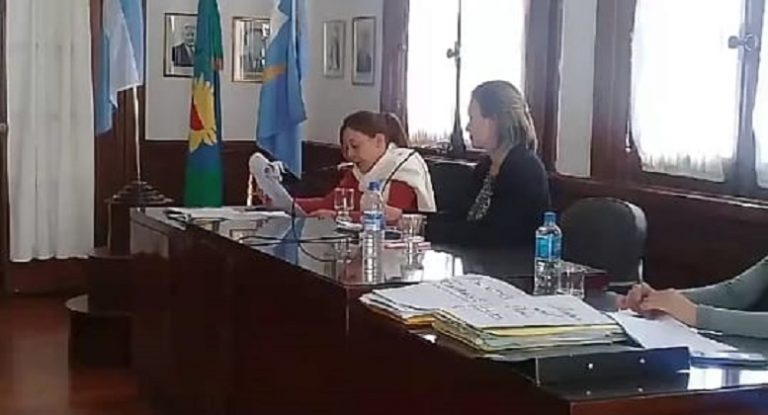 El Concejo Deliberante de Nueve de Julio incluyó la video conferencia por primera vez