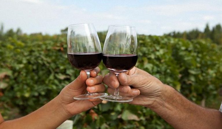 Día Mundial de Malbec, cepa insignia de Argentina
