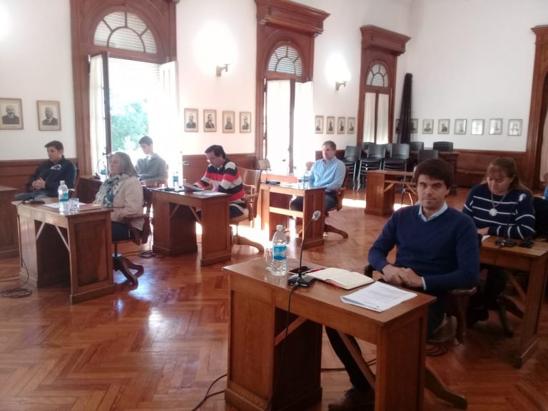 Sesiona el Concejo Deliberante de Nueve de Julio y trata permisos y prohibiciones ante la pandemia