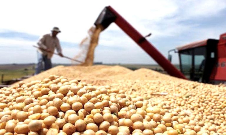 Los productores rurales no necesitan del “Certificado Único Habilitante para Circulación”