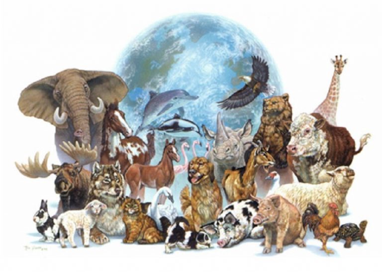 En argentina es el Día del Animal