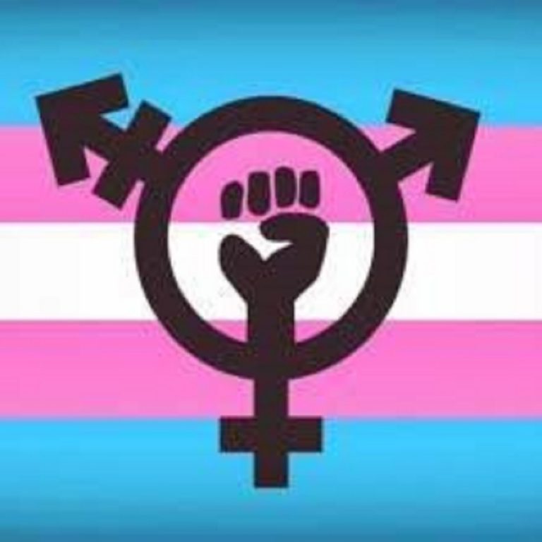 La Defensoría del Pueblo de la Nación solicita que no se interrumpa la terapia de reemplazo hormonal (TRH) a la comunidad Trans