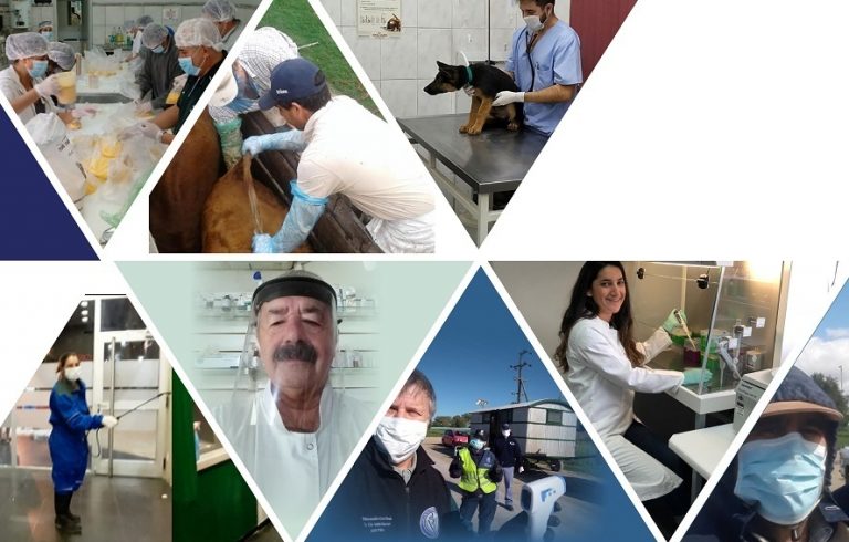 Se considera importante al rol de los veterinarios ante la pandemia