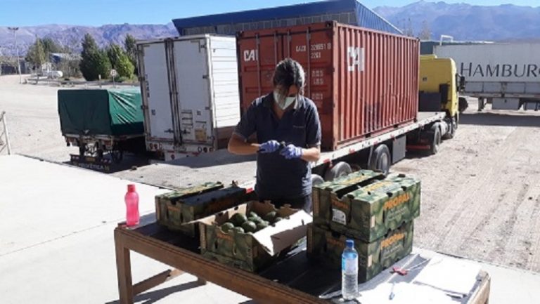 Creció un 13,9% la exportación de frutas frescas en el primer cuatrimestre de 2020