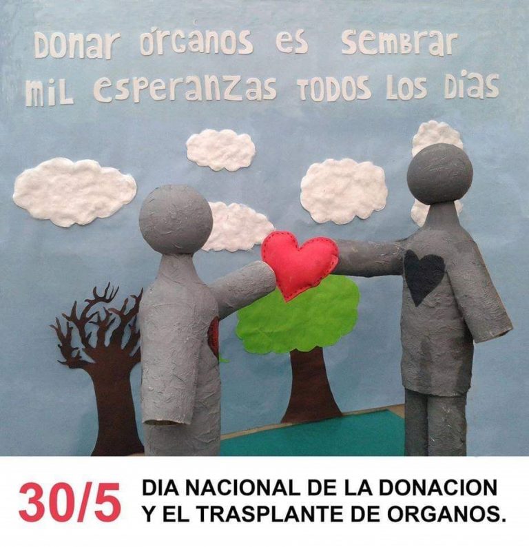 Día Nacional de la Donación de Órganos y Tejidos