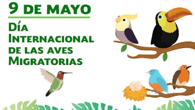 Día internacional de las aves migratorias