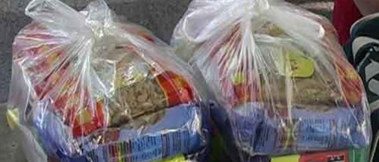 El Club de Leones nuevejuliense hizo un aporte a la red alimentaria