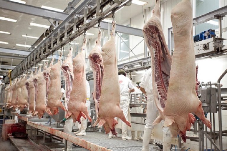 Se mantiene en niveles normales el abastecimiento interno de alimentos y crecen las exportaciones de carnes y frutas