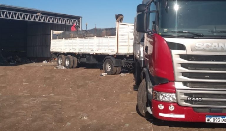 Avanza la conciencia ecológica en el distrito nuevejuliense