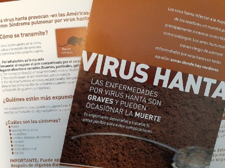Hantavirus: ¿Qué es y cómo se transmite?