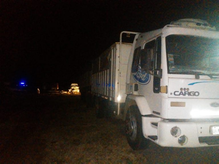 Camionero nuevejuliense de 85 años protagoniza accidente en Ruta 5 cerca de Guanaco