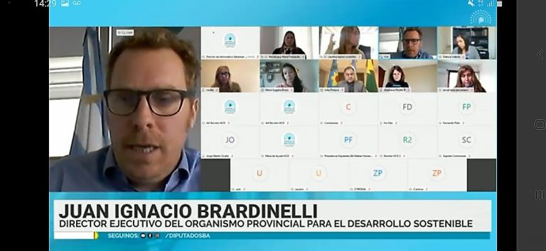 El Director Ejecutivo del OPDS presentó el trabajo del organismo ante la Cámara de Diputados de la Provincia