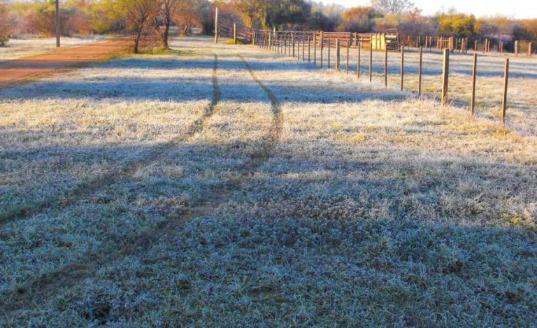 Se vive el día más frío del invierno