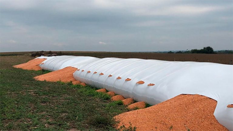 El Ministro Javier Rodríguez repudió los daños a la producción agropecuaria