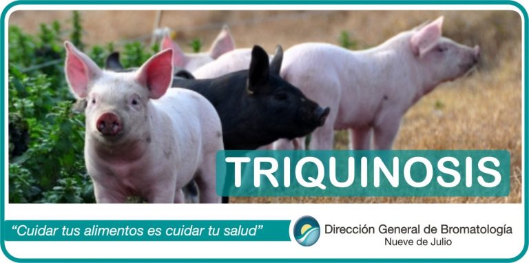 Bromatología insiste en los cuidados sobre Triquinosis