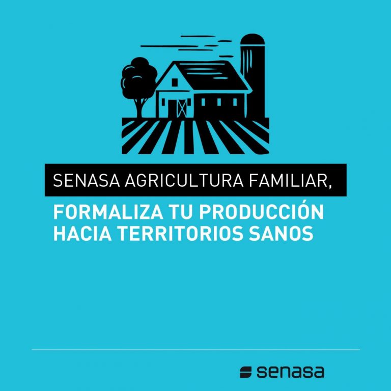 Capacitaciones virtuales destinadas a mejorar la calidad institucional del Senasa