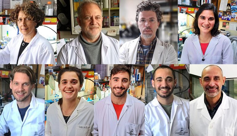 ANMAT aprueba un nuevo test serológico nacional que mide otro anticuerpo contra el coronavirus