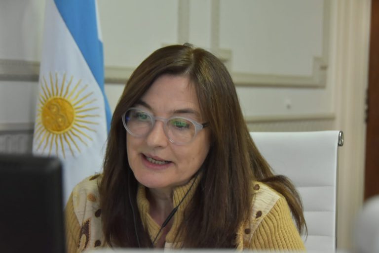 La Ministra Estela Díaz presentó un informe sobre intentos de femicidios