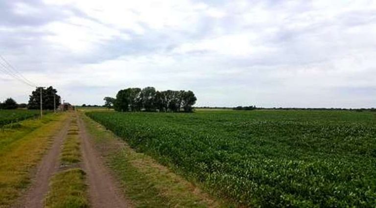Las entidades de la Mesa de Enlace Agropecuaria están en desacuerdo con las medidas del Banco Central