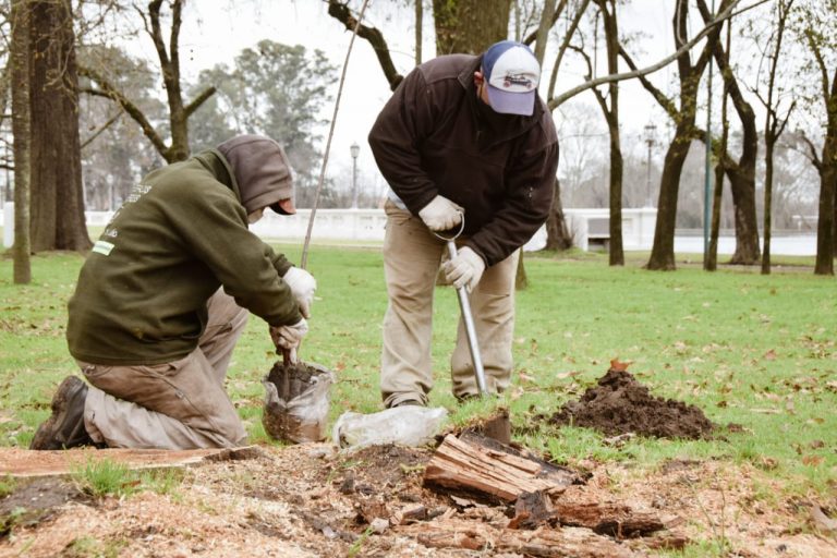 En el Parque San Martín se plantaron 20 especies nativas
