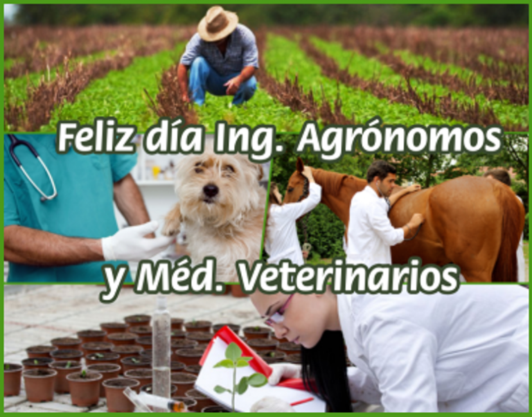 Se celebra el Día del Ingeniero Agrónomo y del Médico Veterinario