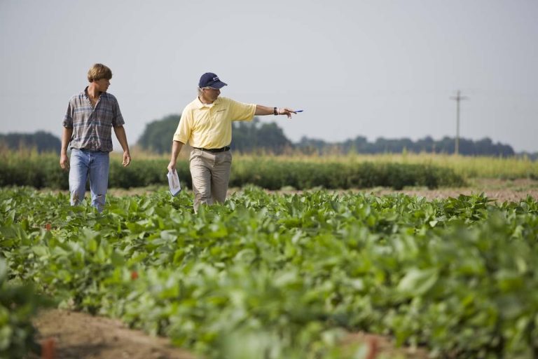 Solicitan arbitrar medidas para productores bonaerenses con actividades en La Pampa y San Luis