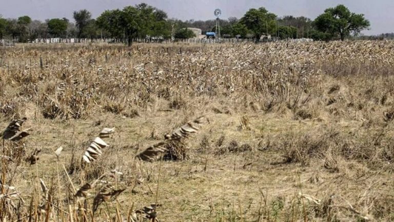 La sequía ya alcanza a 11 provincias