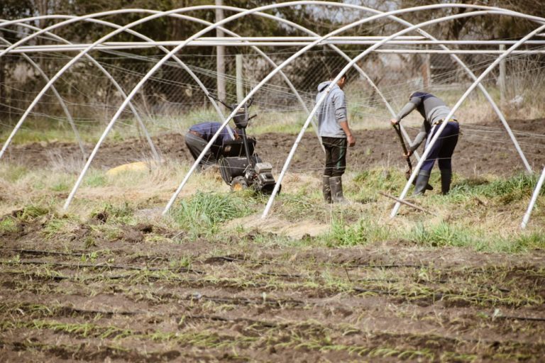 Avanza el proyecto hortícola de 12 de Octubre