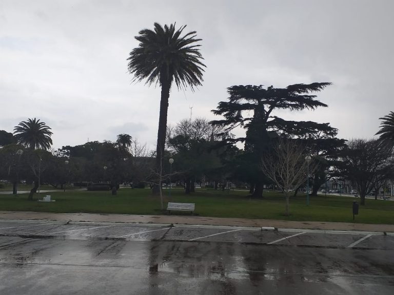 La lluvia llegó a los 6.8mm.