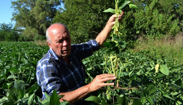 Los chacareros se preparan para otra charla virtual desde la Sociedad Rural