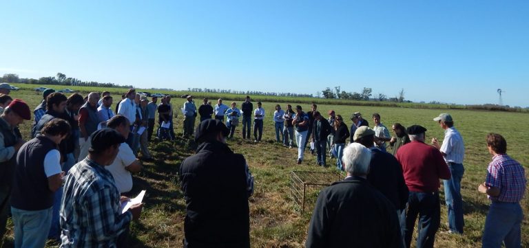Día del Agricultor: Con la misma pasión produciendo alimentos esenciales