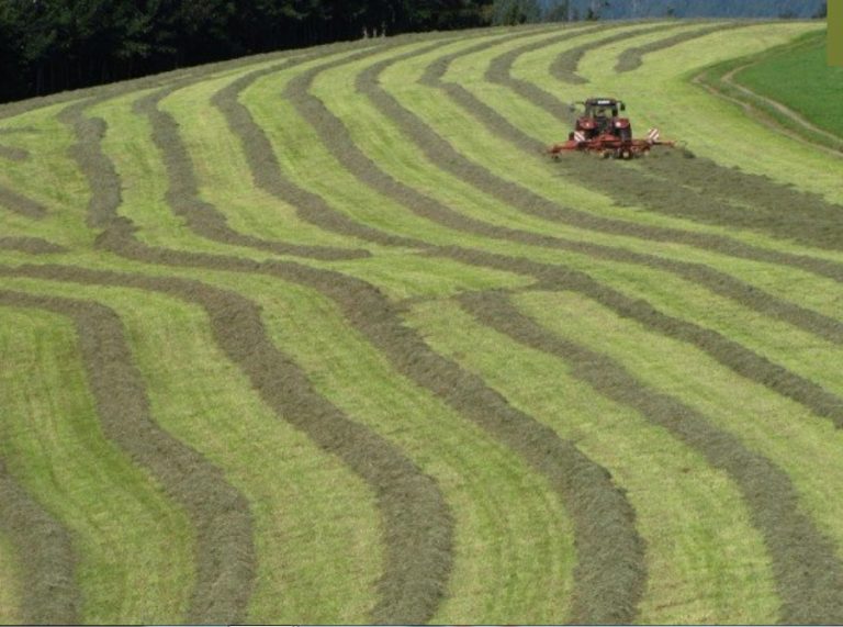 Día Mundial de la Agricultura