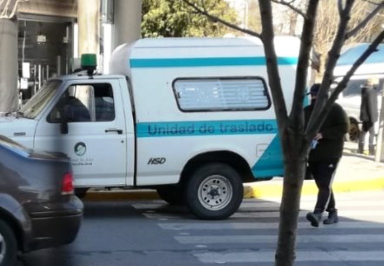 Perros de la calle que agreden fueron llevados al Albergue Canino