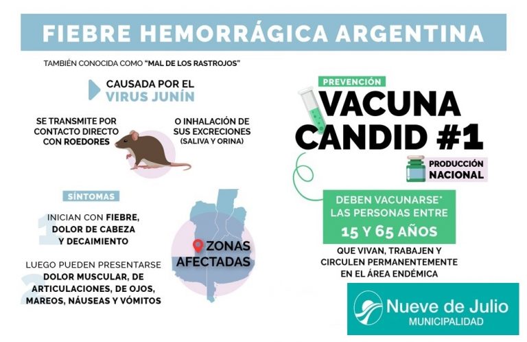 Se vacuna contra la Fiebre Hemorrágica Argentina (FHA) o Mal de los Rastrojos