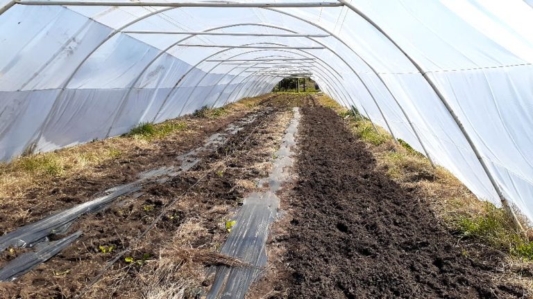 En 12 de Octubre avanza el proyecto hortícola sumando un nuevo invernadero