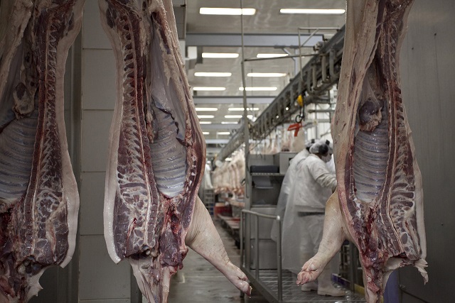 Federación de Productores Porcinos considera clave al Senasa para afianzar la producción