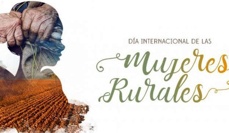 dia internacional de la mujer dia internacional de la mujer